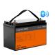 BMS Built In Lifepo 4100ah 12v Lifepo4 Batteries Pack Lithium Ion Battery ABS Case