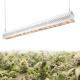 3'*3' Coverage High End Led Grow Lights For Outdoor Plants 3 Years Warranty