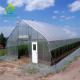 8m*30m Hydroponic Poly Tunnel Greenhouse Heavy Duty Plastic Sheeting Greenhouse