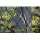 Vertical Greening Inox Mesh Netting for Garden Plants Trellis Systems
