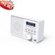 ABS Houseing DAB/DAB FM Portable Radio 30 Station Internet Home Radio with Bluetooth