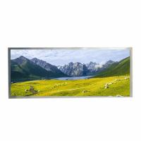 HannStar 12.3 TFT IPS LCD 1920x720 850nits WLED LVDS 50pins