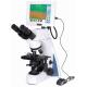 200x Wireless Digital Biological Microscope , Stereo Zoom Microscope With Digital Camera