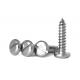 Stainless Steel Slotted Drive Pan Head Tapping Screws Slotted Drive Rounded Head Pointed Screws