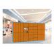 Clothes Drying Laundry Service Equipment Storage Closet Cabinet Steel Locker With Network