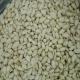 Delicious Blanched Peanuts / Red Skin Peanuts Fast Fresh Food For Eating / Oil Processing