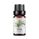 Organic Vetiver Essential Oil Bottle Steam Distillation Essential Oils