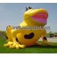 Advertising Inflatable Model with frog animal model