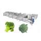 Industrial Frozen Broccoli Cauliflower Vegetable Washing Cleaning Production Line