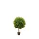 Fire Retardant Artificial Landscape Trees For Gardens Anti UV 65cm Boxwood Green Bonsai