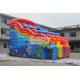 Dual Lanes Seaworld Theme Inflatable Water Slides Waterproof For Inground Pool