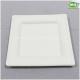 China Facotry Wholesale Sugarcane Pulp Square Plate-6 Inch/8inch/10inch,100% Biodegradable Disposable Square Party Plate