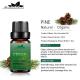 MSDS Approved Leaves Pure Natural Essential Oils For Body Care