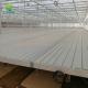 Hot Galvanized Greenhouse Rolling Benches Earthquake Proof Ebb And Flood Benches