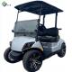 New 2 Seater Electric LSV Golf Cart For Beach Color Customized