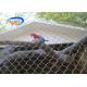 SS304 316 Aviary Wire Mesh Versatile Cable Bird Netting Mesh