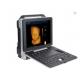 2 Probe Ports 3D 4D Ultrasound Machine / FDA Color Doppler Ultrasound Machine