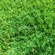 Green Artificial Grass Infill Indoor Outdoor Soccer Sports Field Rubber Granule