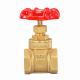 BSPT Thread Brass Gate Valve With Manual Handle Knife Valve