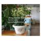 2016 new style wicker garden baskets round shape willow plant baskets white colour