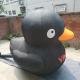 Outdoor Duck Inflatable Advertising Characters Giant Customized