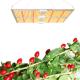ROHS LED Grow Light Quantum Board 440W Lm301B Chips For Greenhouse