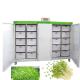 Seeds Germinate Hydroponic Fodder Machine Breeding Room Automated Fodder System