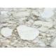 Italian Fish Belly Gold Calacatta Oro Marble Tiles For Luxury Interior Decoration