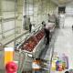 SUS 304 Apple Juice Pulp Processing Production Line Apple Puree Processing Equipment