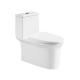 ISO9001 One Piece Toilets Siphon Flush Chair Height Elongated Toilet With Seat Soft Closed