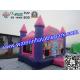 Pink Princess Inflatable Bouncy Castle , Park Inflatable Castle