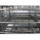 High Efficient Automatic Egg Collection System Harvest Conveyor System