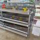 A And H Type Broiler Battery Chicken Cage For 45 Days Broilers Emily