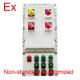 Explosion Proof Power Distribution Panel Board Used In Explosive Gas Atmosphers