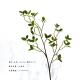 Clear Veins Siberian Elm Decorative Artificial Branches With Leaves 98 Cm 110 Cm