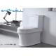 Floor mounted siphonic dual flush toilet modern sanitary 730*390*725 mm Size
