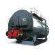 Medical Treatment Gas Powered Steam Boiler , High Efficiency Natural Gas Boiler