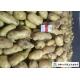 Nutritious Fresh Potato Stored In A Dry And Cool Place Prevent Germination