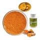 Orange Yellow Turmeric Root Extract 95% 98% Curcumin Extract Powder For Food