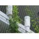 AISI316 X Tend Wire Rope Plant Trellis , Stainless Steel Wire For Climbing Plants