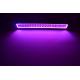 21.5 inch 120w 12 Volt Super Slim Waterproof RGB Light Bar For Car / Automotive