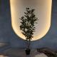 Insect Resistant Artificial Plants Indoor Artificial Green Walls 150CM