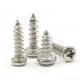 Chinese Factory Drywall Screws Tapping Screws High Precision Density Super Duplex Stainless Steel