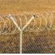 500 M Barbed Galvanised Razor Wire Anti Climb Bird Protective