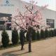 Artificial Outdoor Cherry Blossom Tree For Wedding Decoration 4 Meters