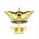 Custom Logo Fashion Metal Craft Brass Soft/Hard Enamel Badge Gold Silver Emblem Police Security Lions Flag Military Long