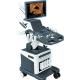 4D Ultrasound Scanner