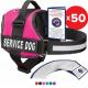 Multicolored Comfortable Pet Harness Mesh Padding Working K9 Eco - Friendly