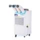 3 Ducts Industrial Mobile Air Conditioner , Flexible Portable Spot Cooler