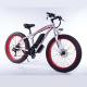 Brushless Electric Snow Bike , 48v 350w Fat Tire Electric Bicycle For Adults